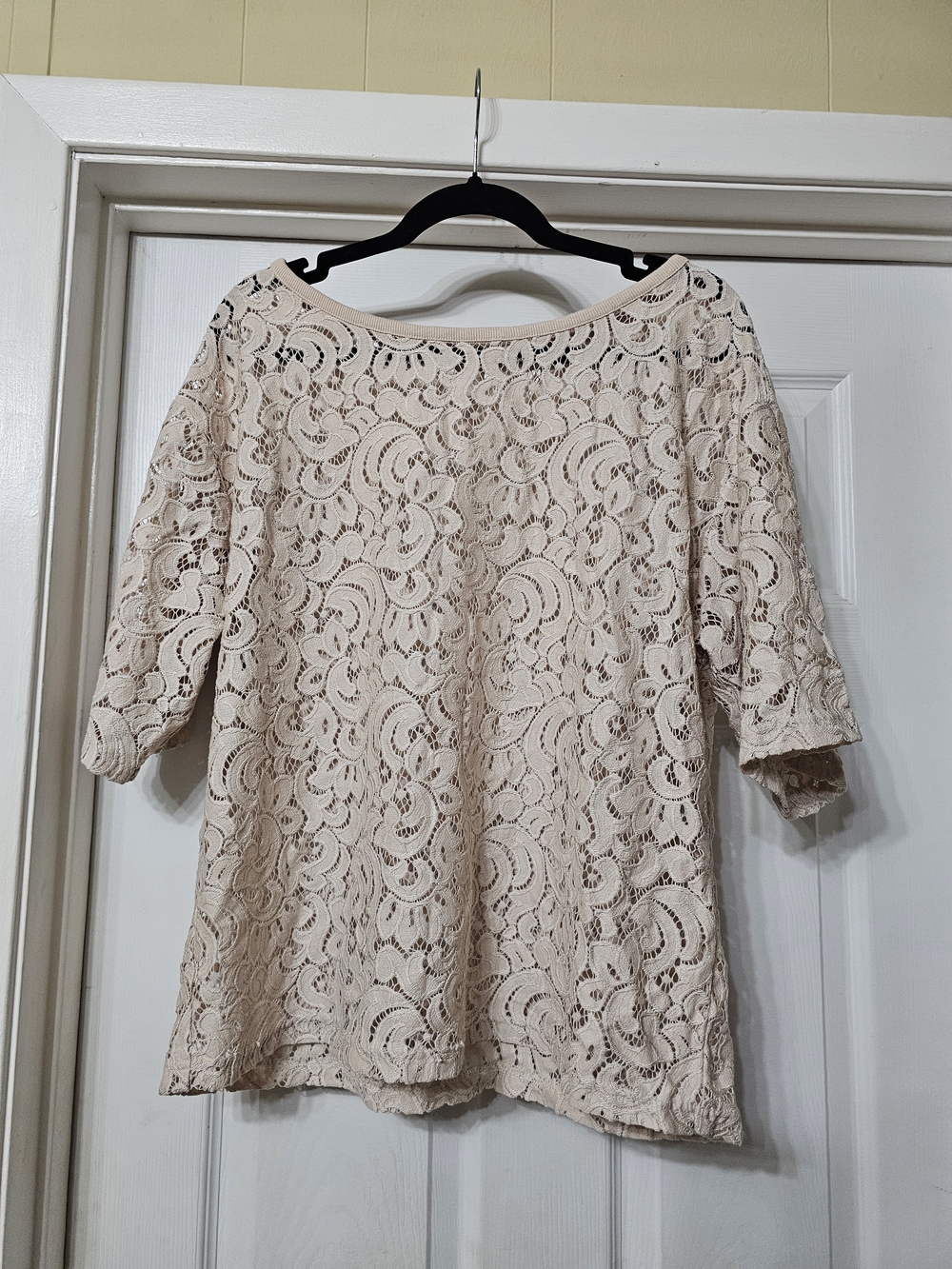 Pleione Beige Lace Short Sleeve Top